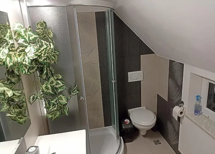 Zemianska Kuria Vachtar